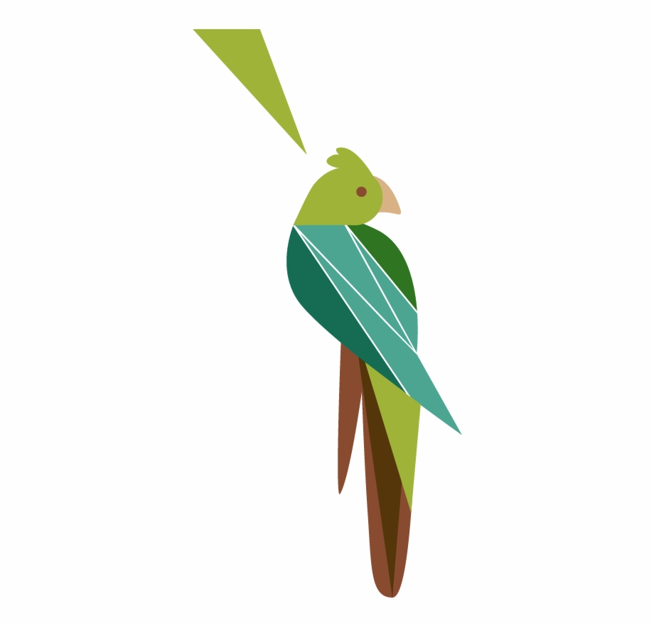 Sidebar Cockatoo Parakeet