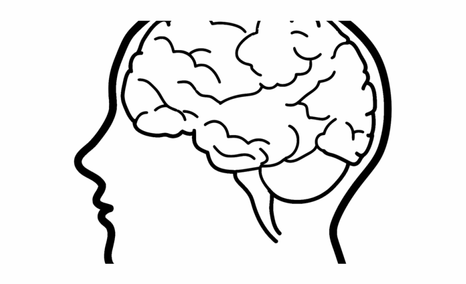 Mental health a simple drawing of brain half Vector Image
