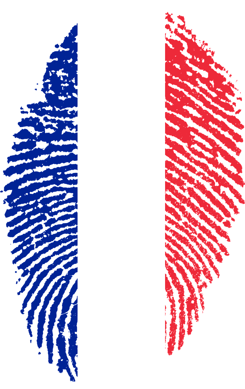 France France Flag Fingerprint Country Pride Iden France