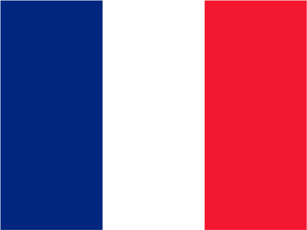 Flag Of French Guiana Logo Png Transparent Alternate