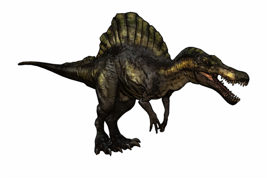 The Spinosaurus Is One Of 10 Dinosaurs In