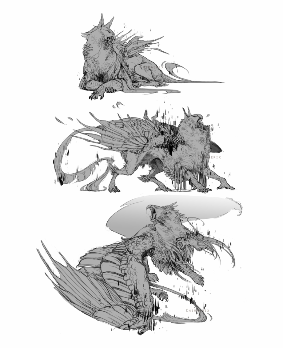 Gryphon Sketches For Sharkfu By Tawnwen Illustration