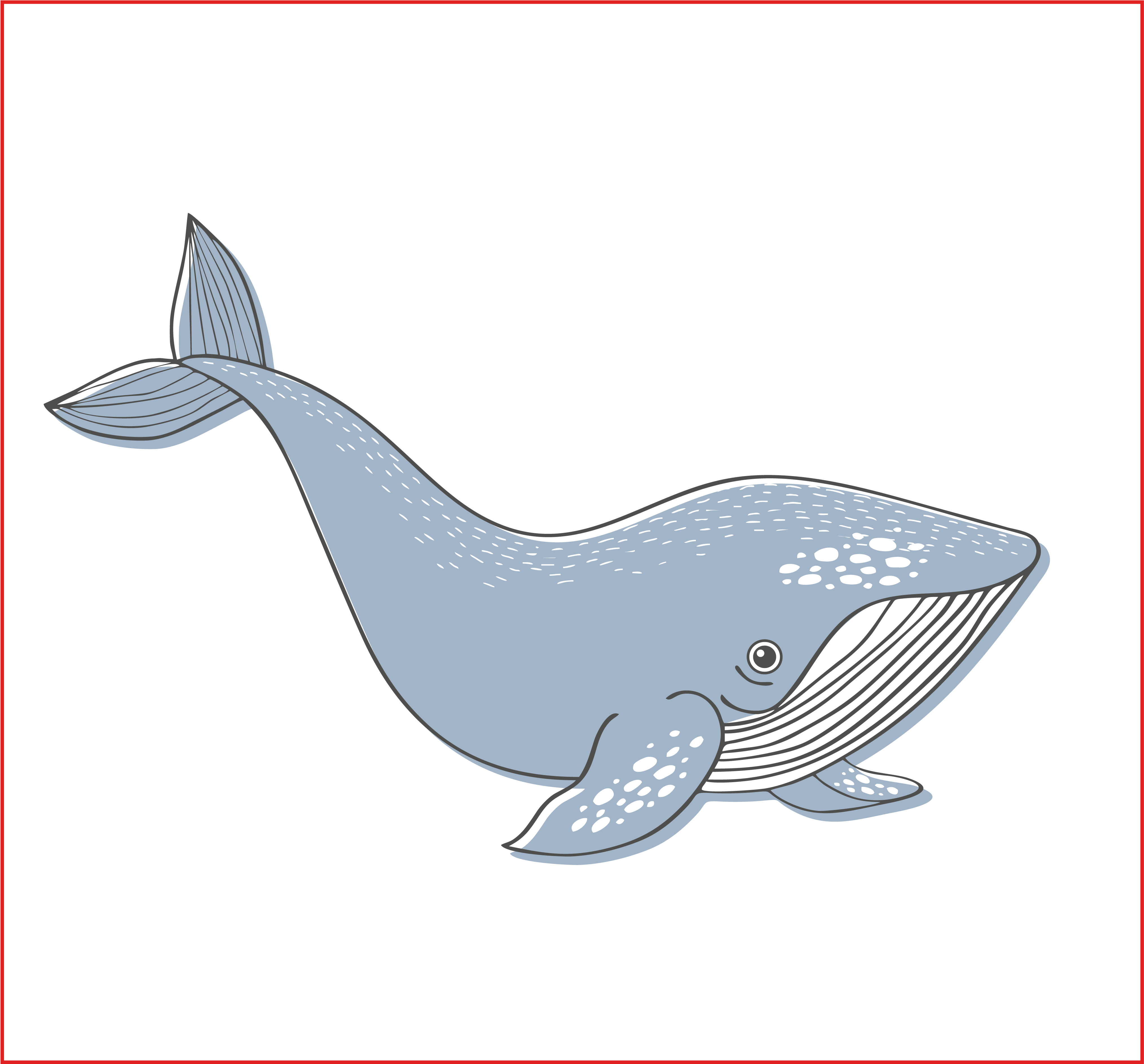 Forma Cuadarada Blue Whale
