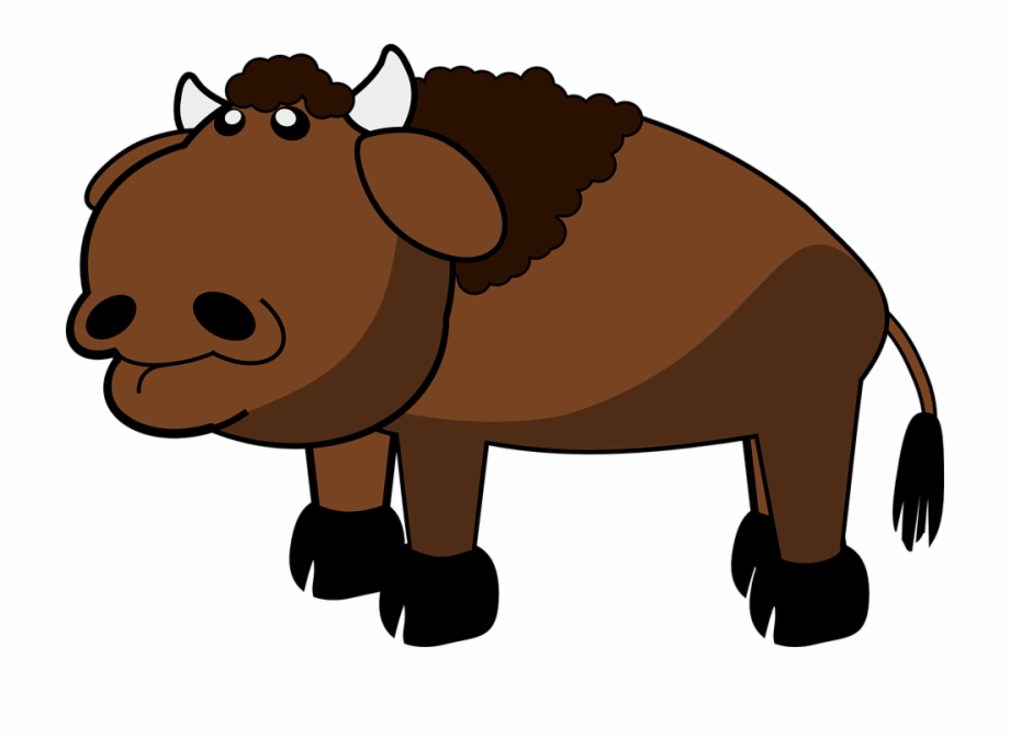 Bison Animal Buffalo Farm Mammal Cow Bull Clip
