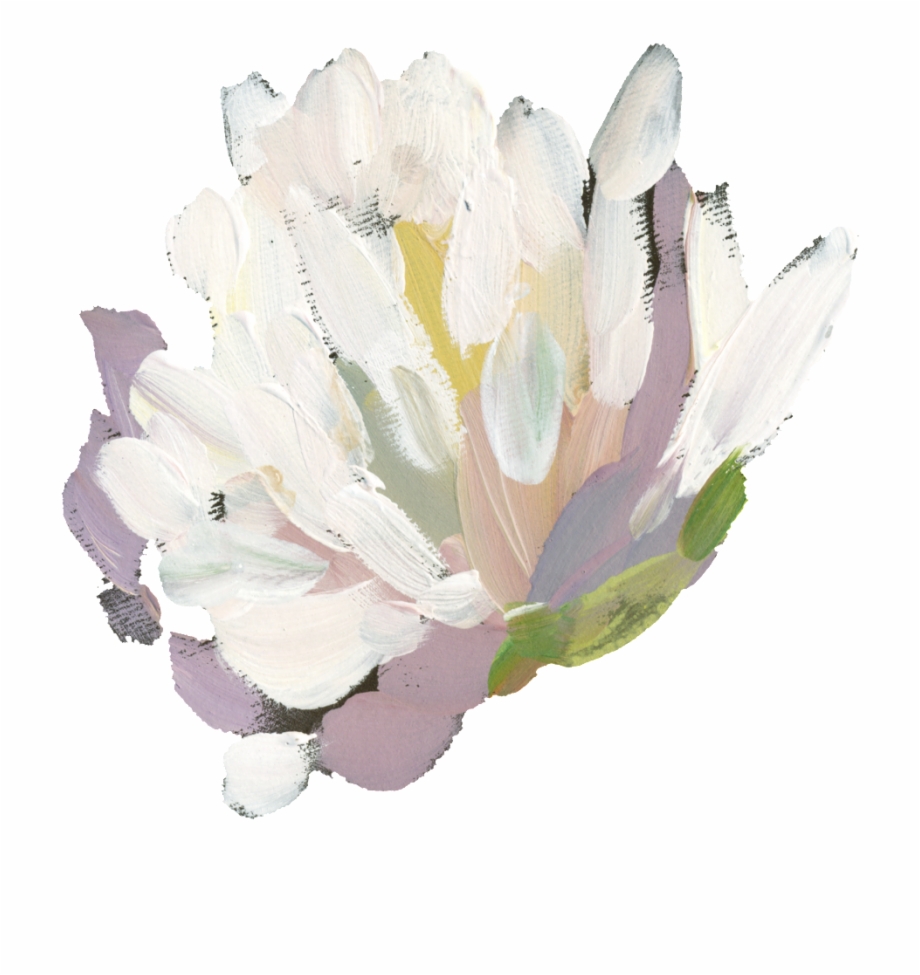 Hand Painted White Watercolor Flower Png Transparent White
