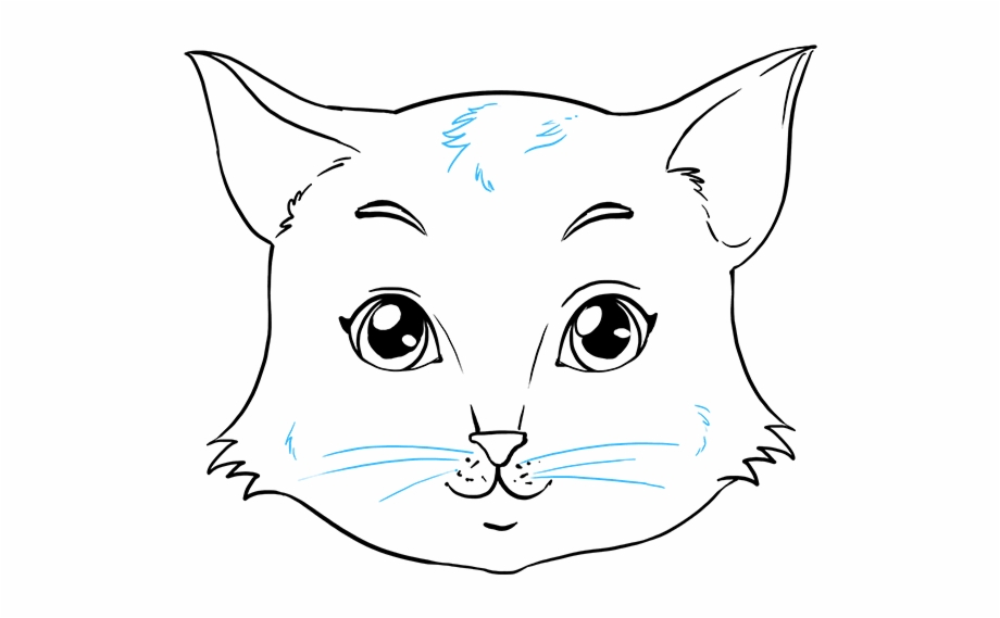 How To Draw Cat Face Draw Cat Face