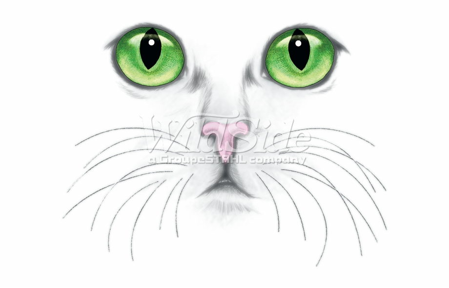 Green Eyed Cat Face Cats Face Png