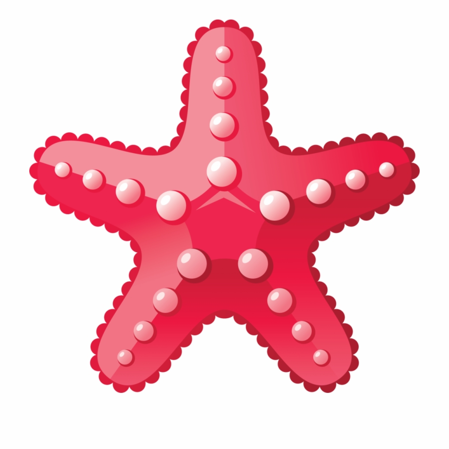 Starfish Png Hd Estrela Fundo Do Mar Png