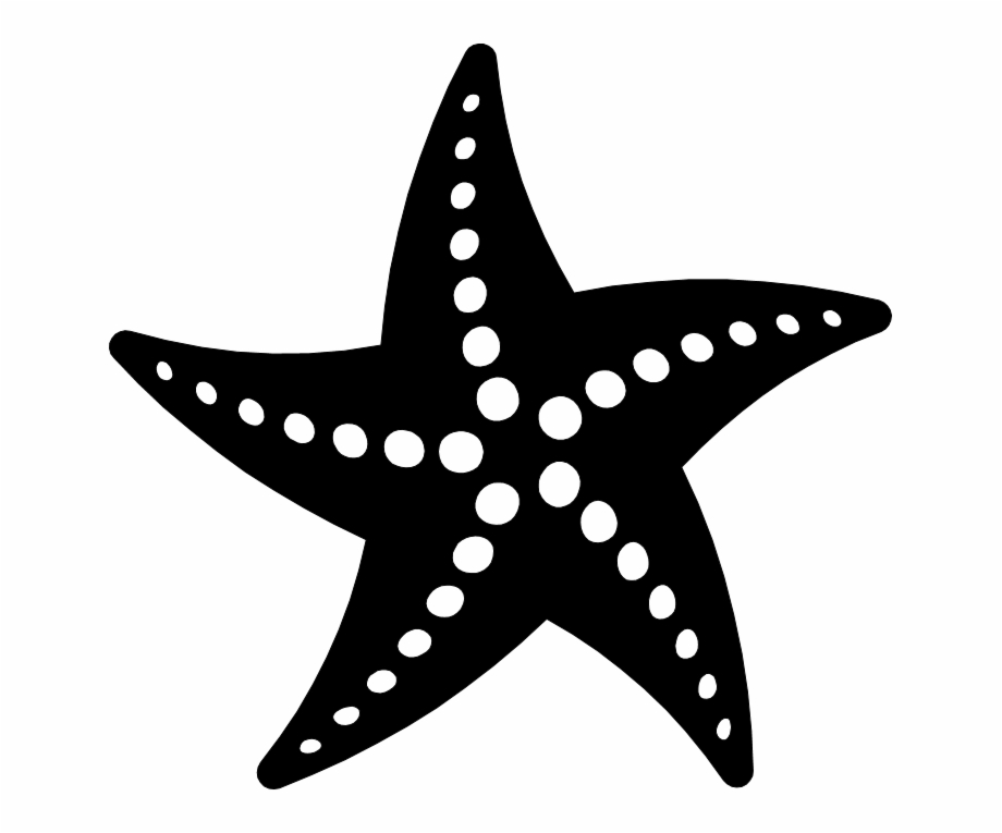 black and white starfish clipart
