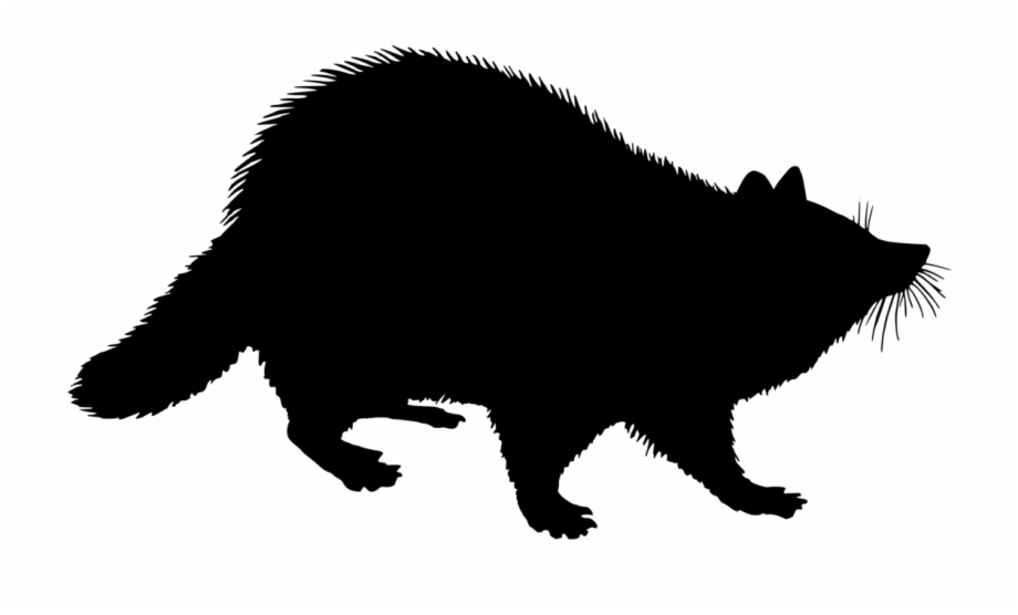 raccoon clip art black and white