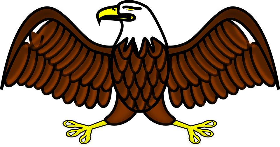 Eagle Bird Symbol Free Vector Graphic On Eagle
