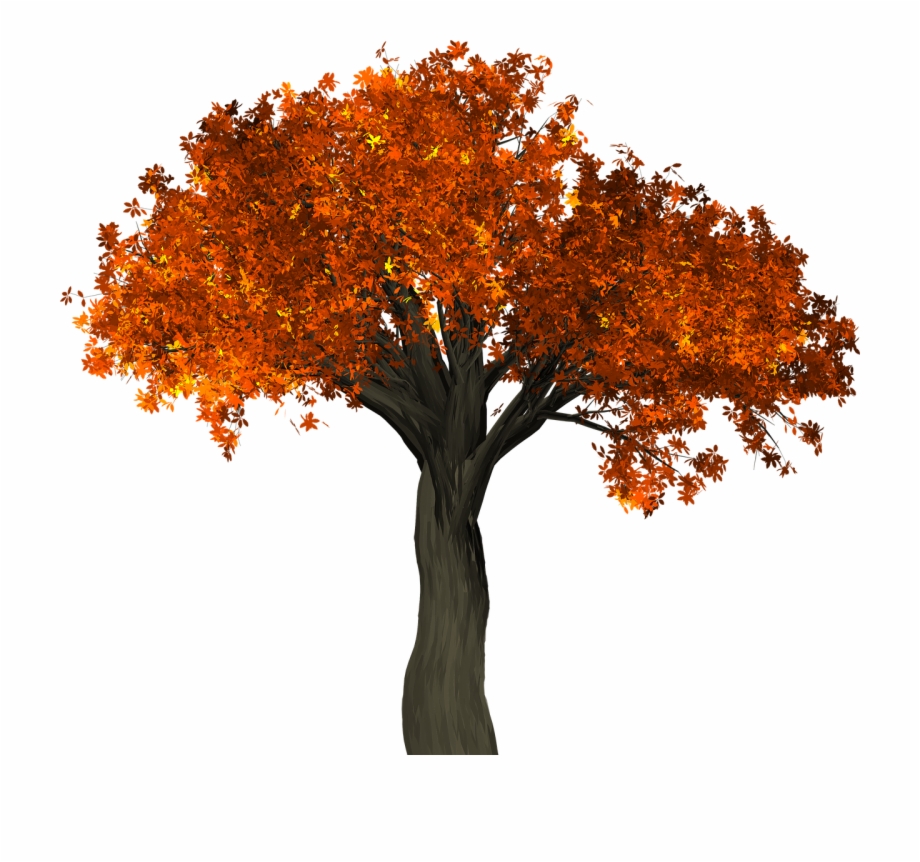 Autumn Tree Transparent Background