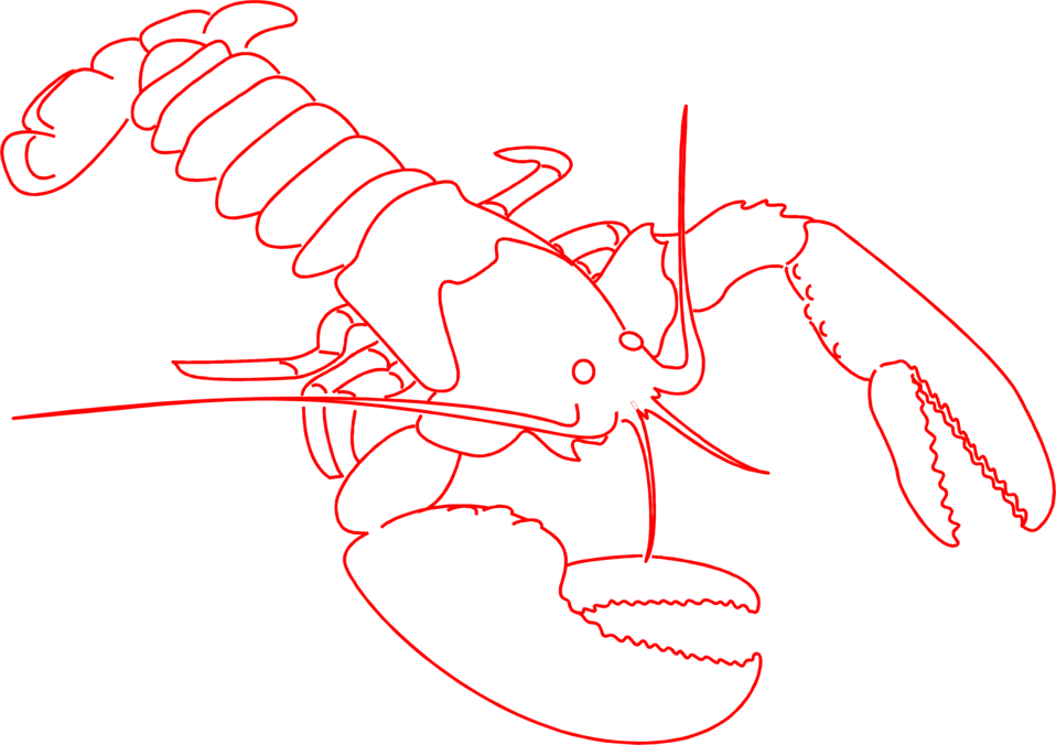 Lobster Free A Red Lobster Outline Wikiclipart Png