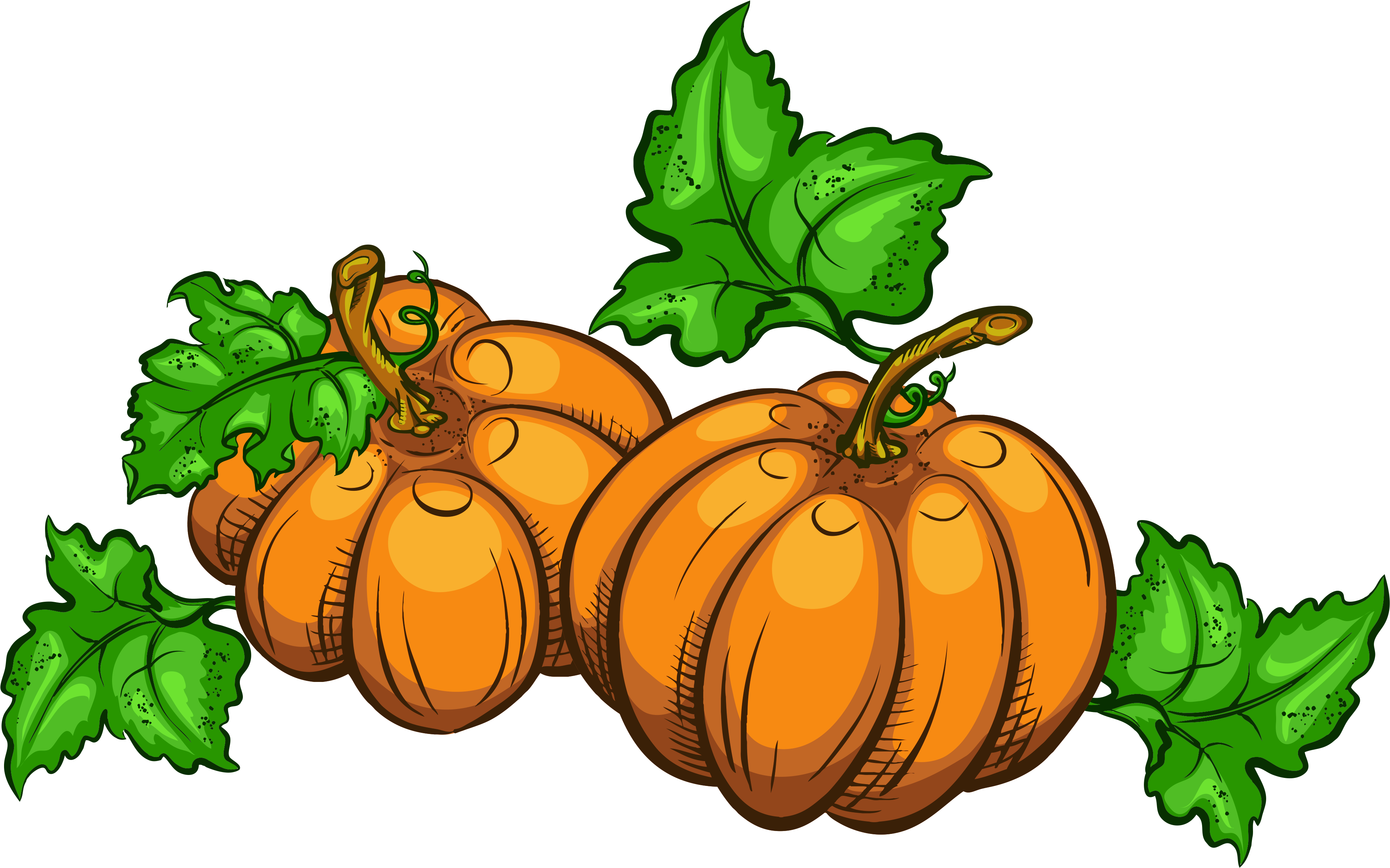 Jpg Free Library Transparent Pumpkins Png Clipart Picture