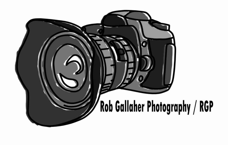 Bold Modern Professional Photography Logo Design Mirrorless Interchangeable