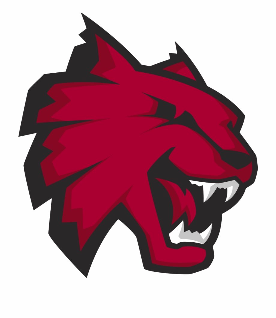 Central Washington University Wildcats Logo
