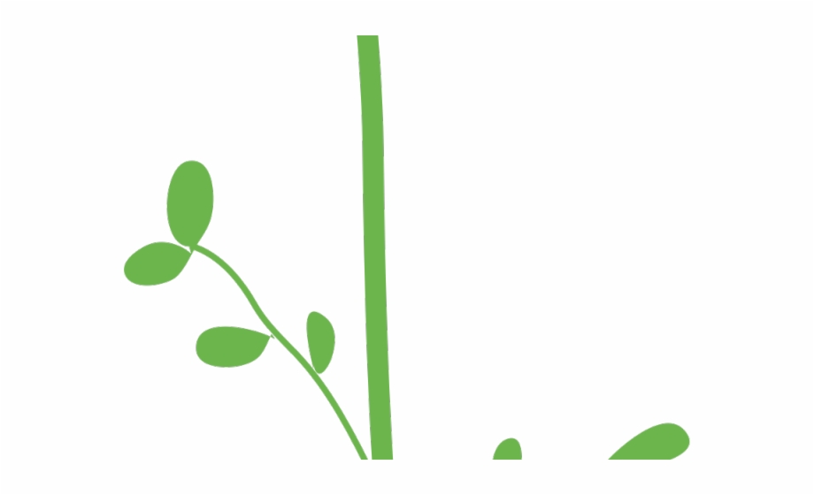 Pot Plant Clipart Simplistic