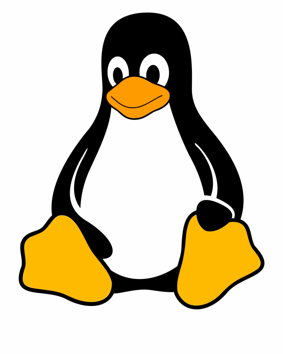 Linux Penguin Clipart Tux Linux