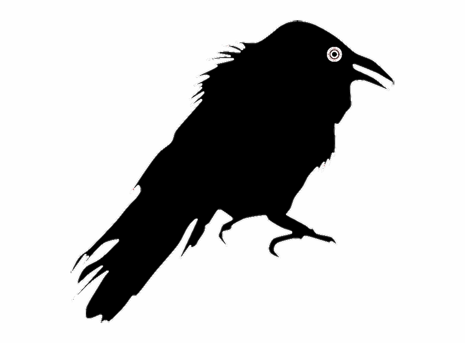 Freetoedit Sticker Raven Crow Halloween Black Crow Silhouette