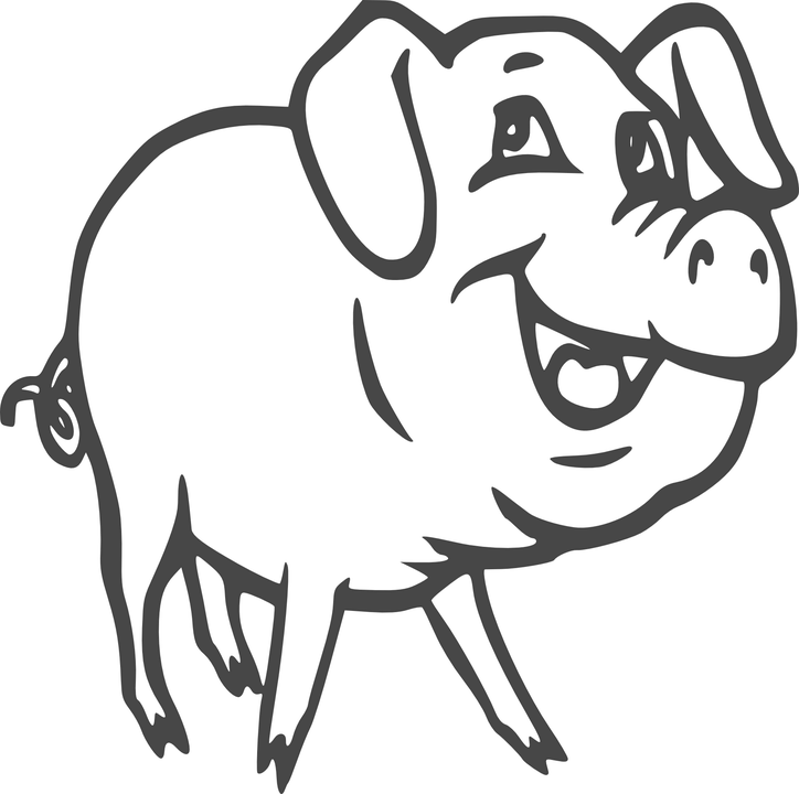 Pig Swine Hog Pork Farm Animal Domestic Meat