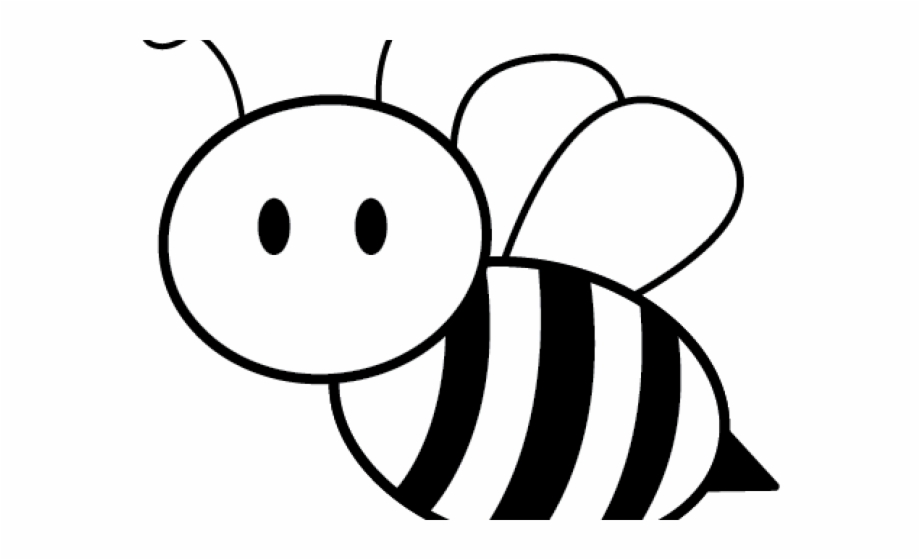 Honey Bee Black And White