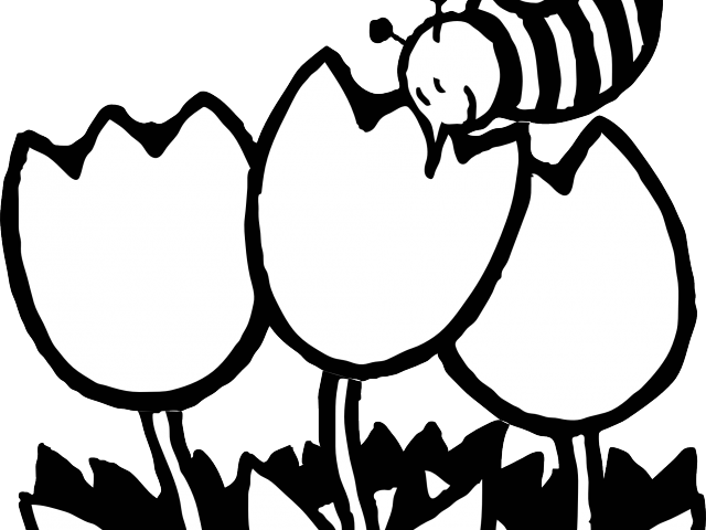 Bee Clipart Outline Black And White Tulips Clipart