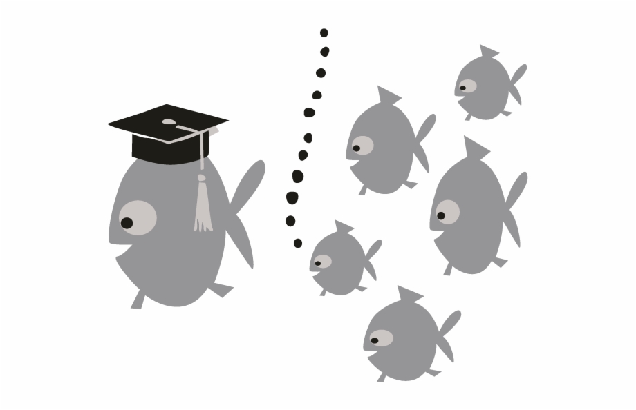 Smock School Of Fish Motif Cartoon