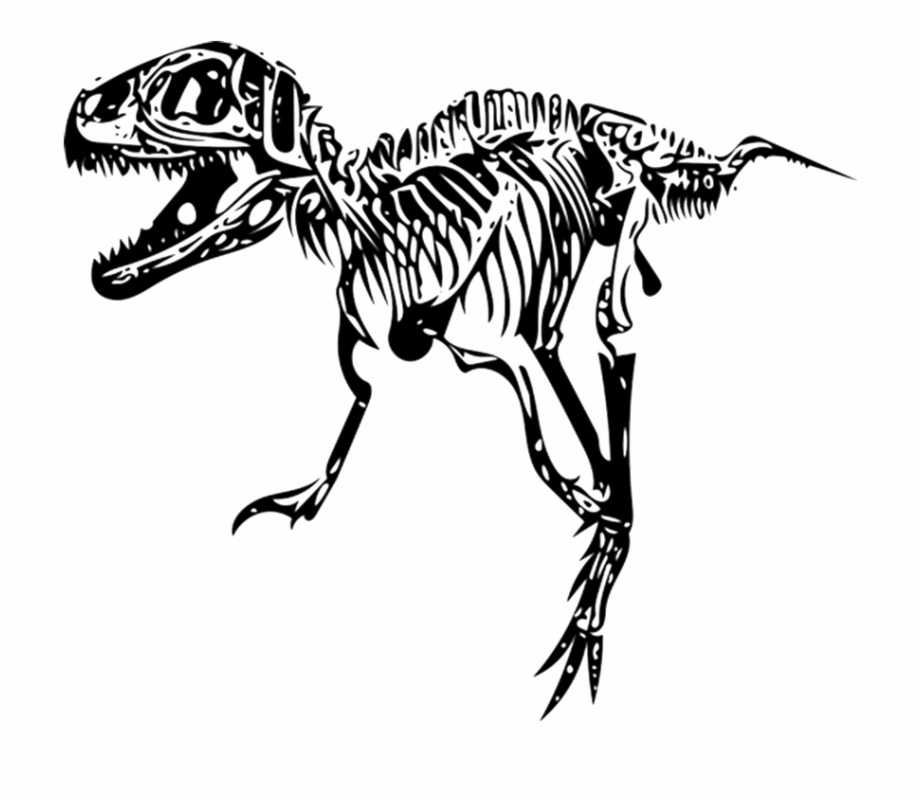 Tyrannosaurus T Rex Fossil Dinosaur Skeleton Png