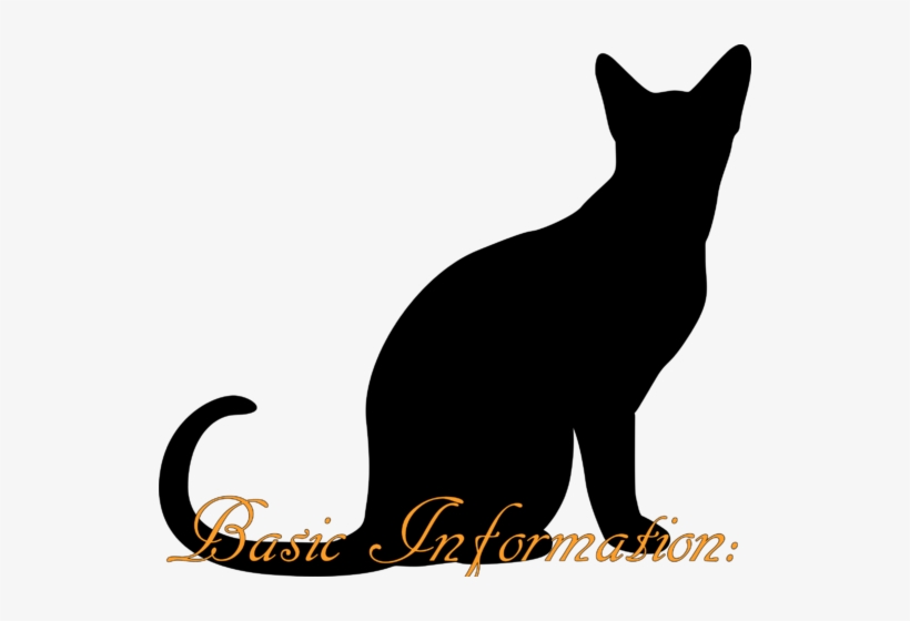 Cat Silhouette Png