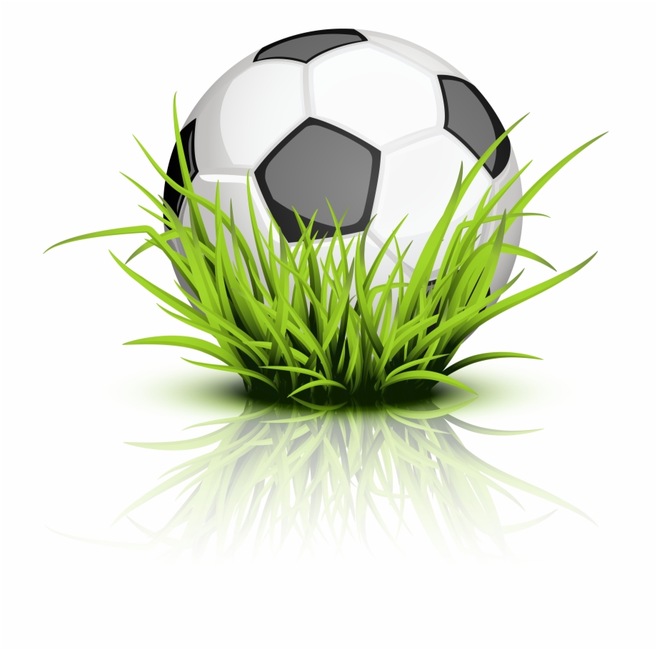 Photos Soccer Ball Grass Transparent
