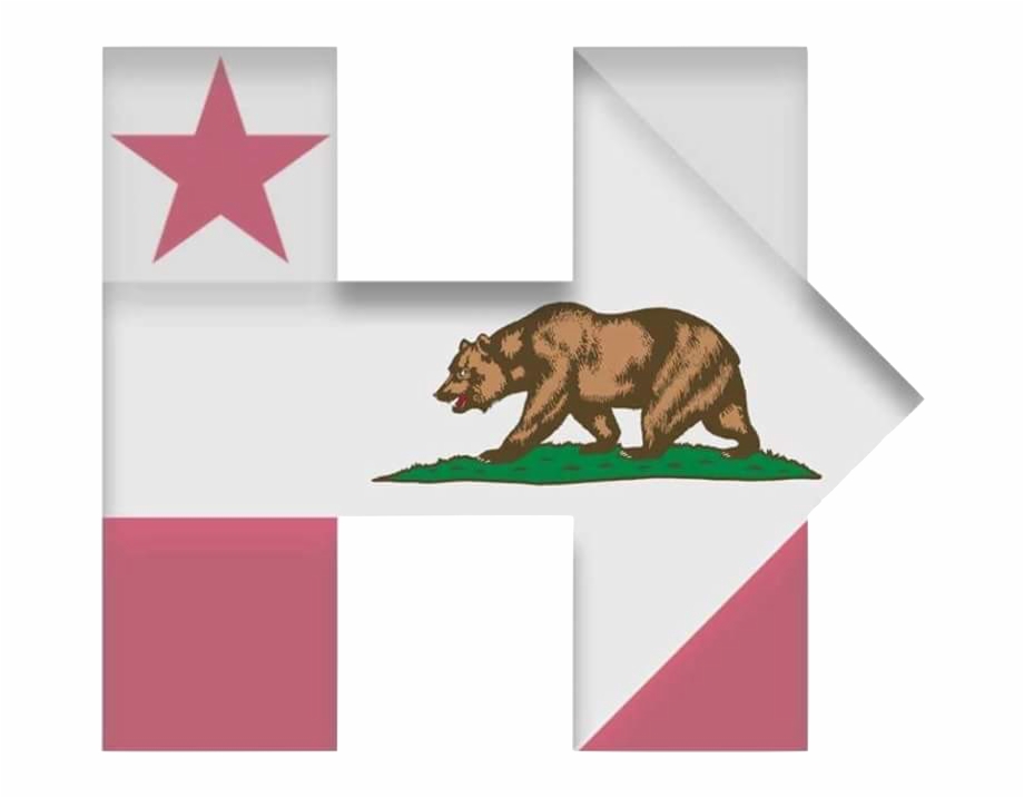 Hillary For California California Republic Flag