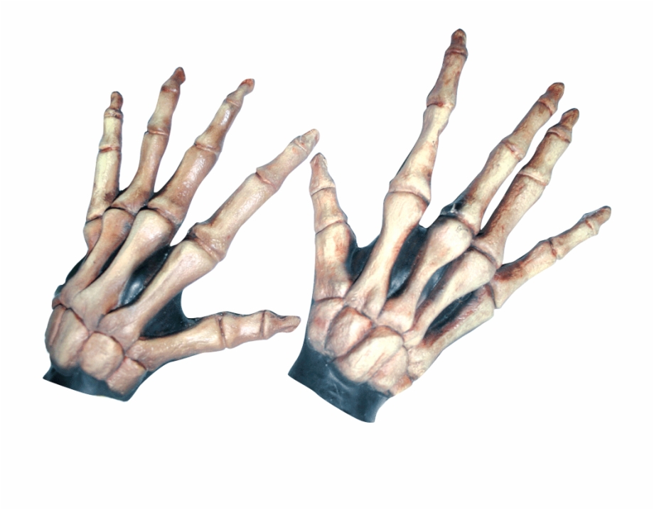 Transparent Bones Colored Large Skeleton Hand