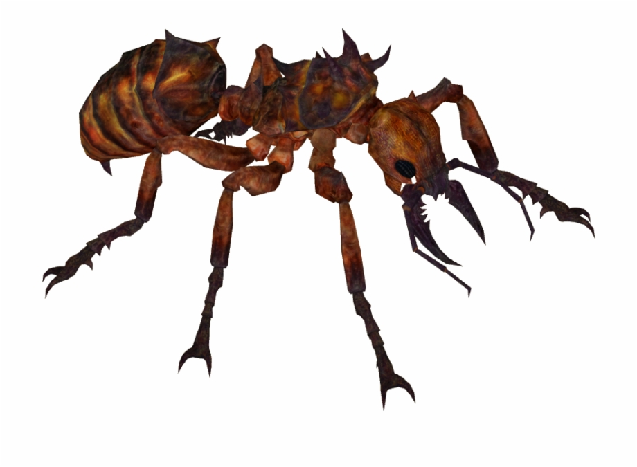 Ant Png Giant Ant