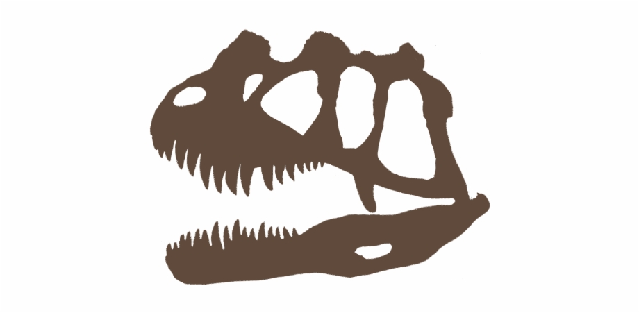 Ceratosaurus Skull