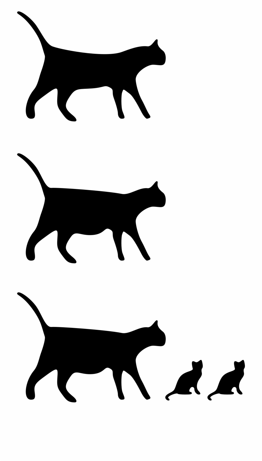 Black And White Cats Drawings Cat Black And