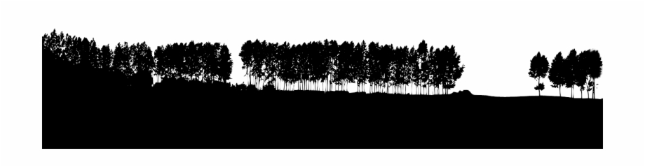 Forest Line Silhouette Png