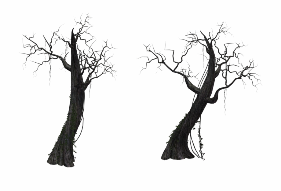 Dead Trees Png Tree
