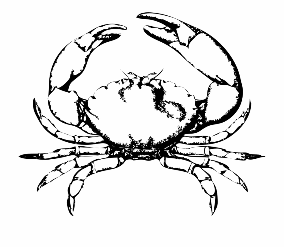 Crab Pinchers Claws Ocean Crustacean Wildlife Crab Clip
