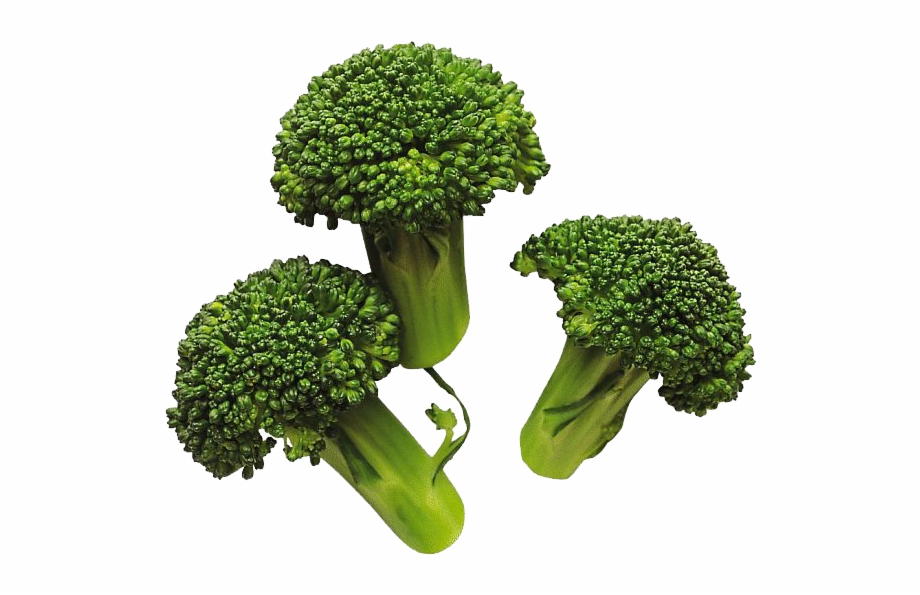 Download Broccoli Png Image For Designing Projects Cooked