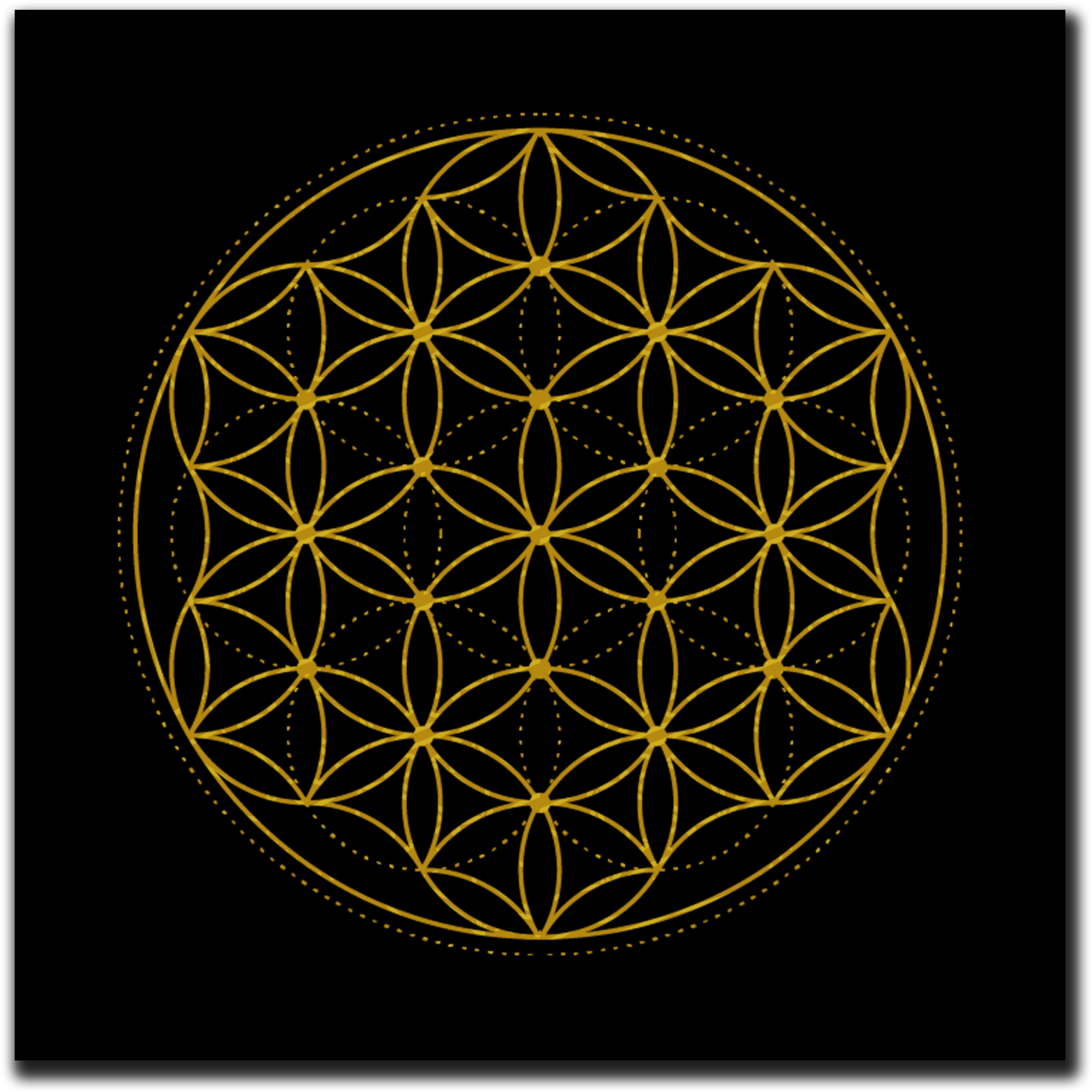 Load Image Into Gallery Viewer Flower Of Life