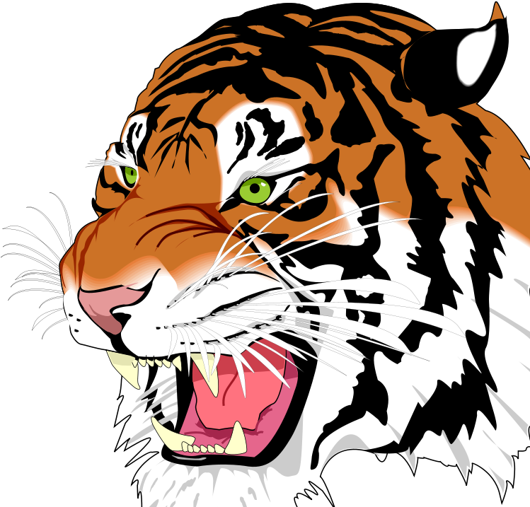 White Tiger Png Png Download Svg Example