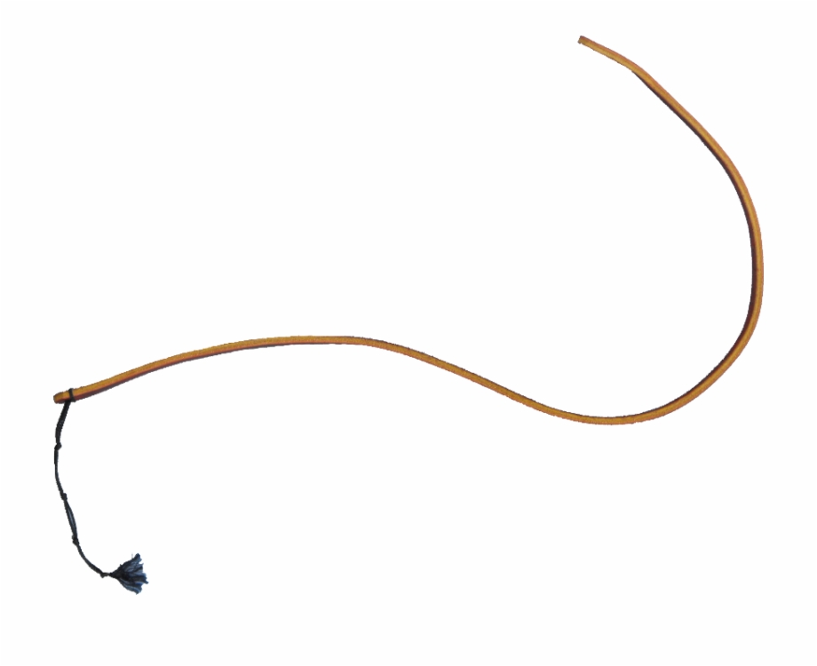 Whip Png Photo Transparent Background Whip Png