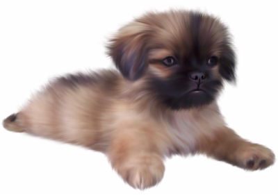 Puppies Png