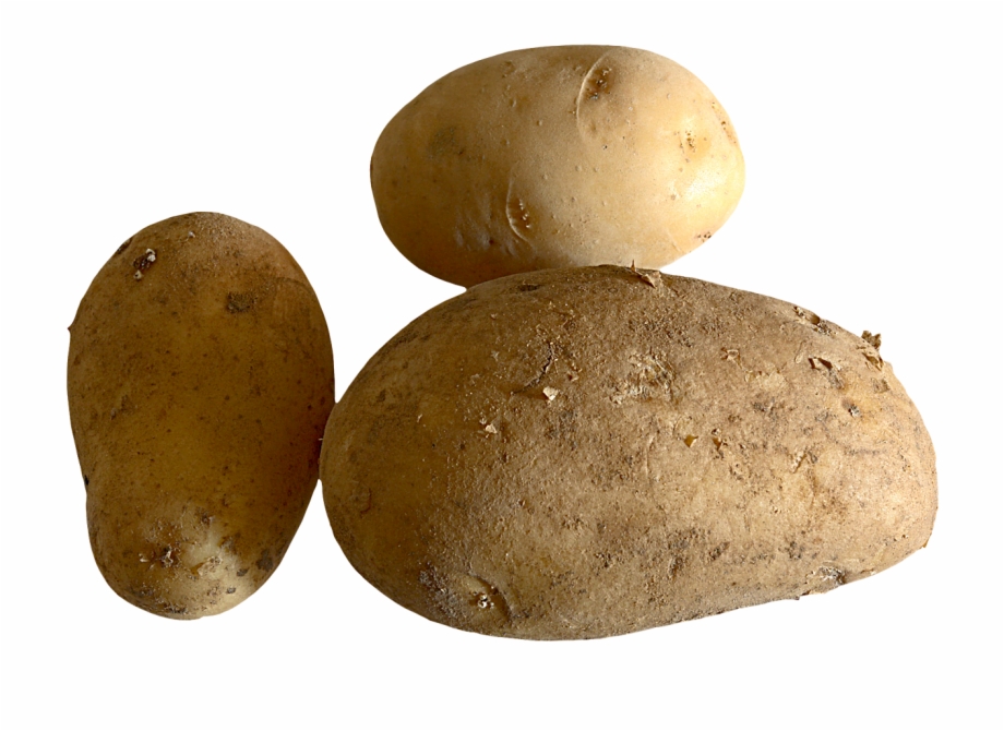 Fresh Potato Png Image Food