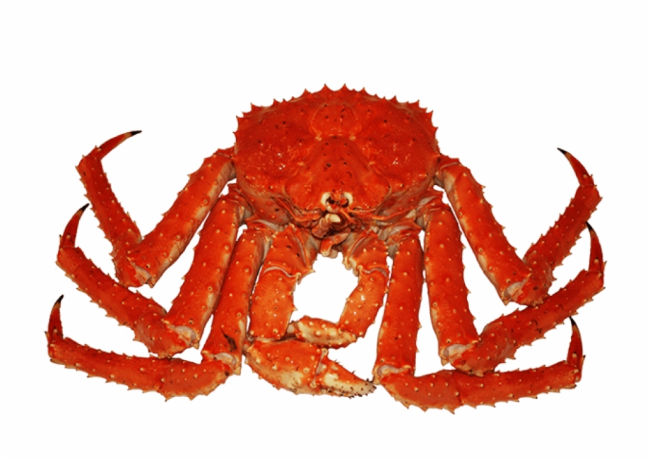 Crab Png Transparent Images Crabs