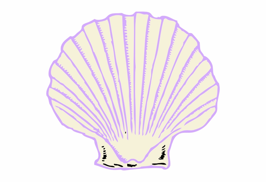 Purple Shell Clipart Png