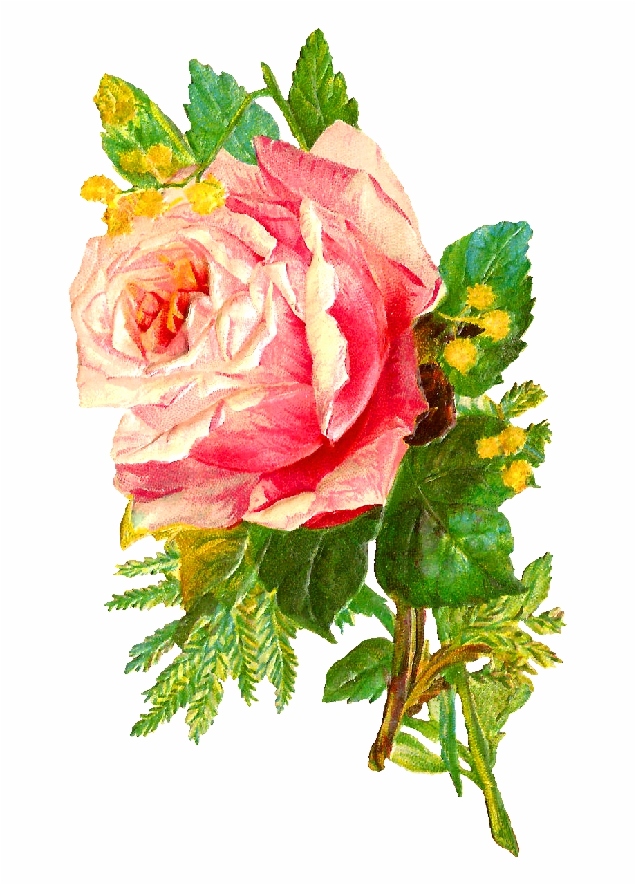 The Second Digital Flower Image Is Of A