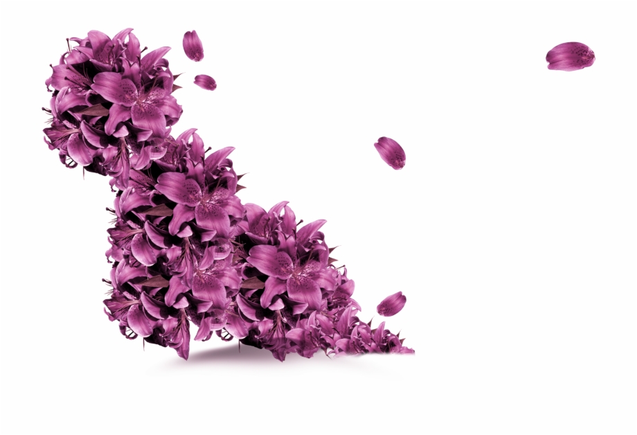 Petal Vector Purple Flower Flying Flowers Png