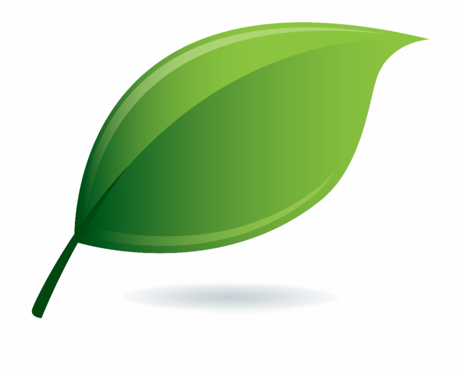 Environmental Clipart Single Green Leave Leaf Go Green