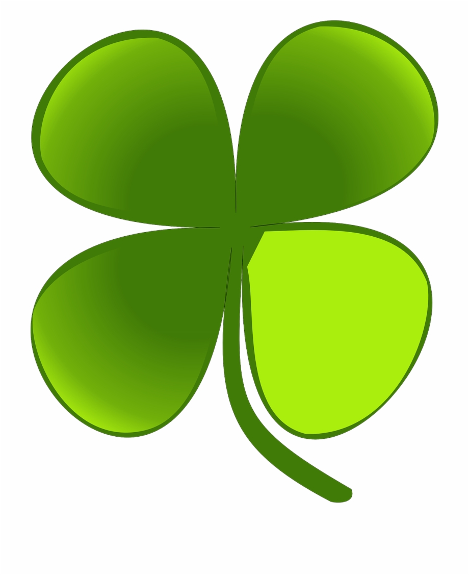 Four-leaf clover Luck Clip art - 4 leaf clover png download - 800*800 ...